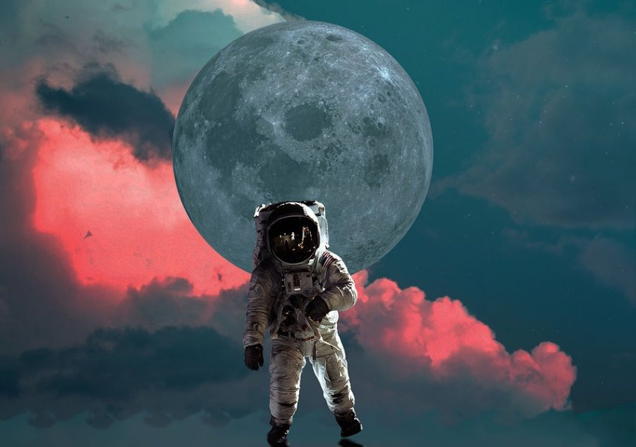 Сибирские ученые предложили проект грибной фермы на Луне