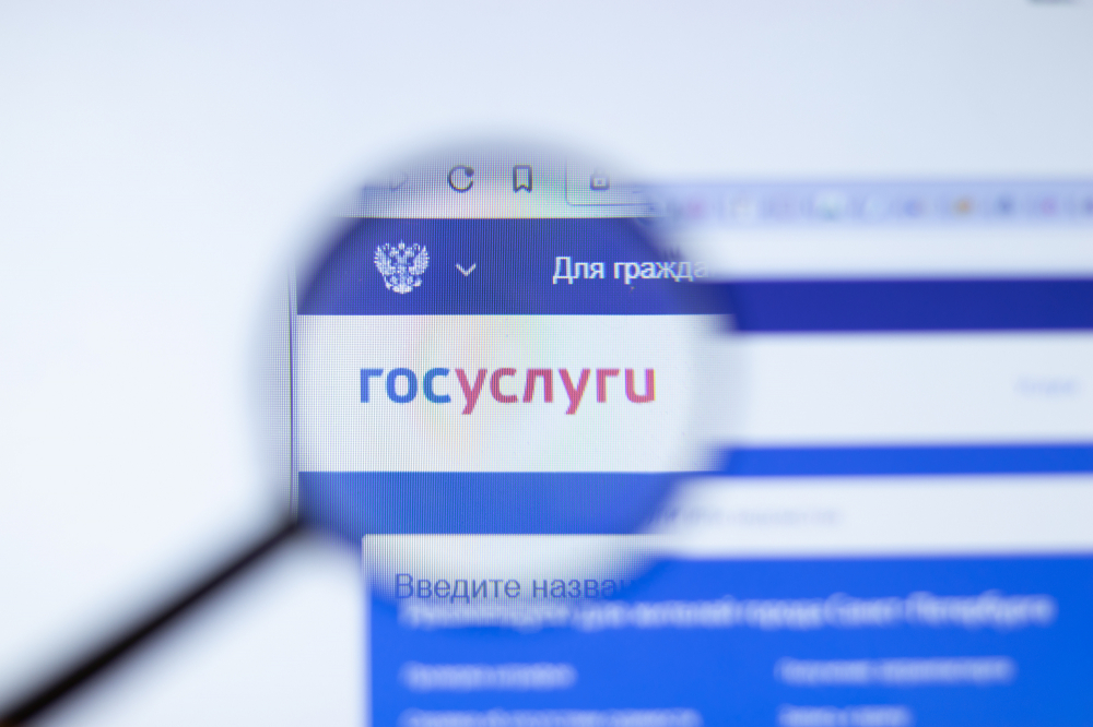 Официальные цифровые сервисы записи к нотариусу помогут избежать контакта с мошенниками - Новая общественная газета