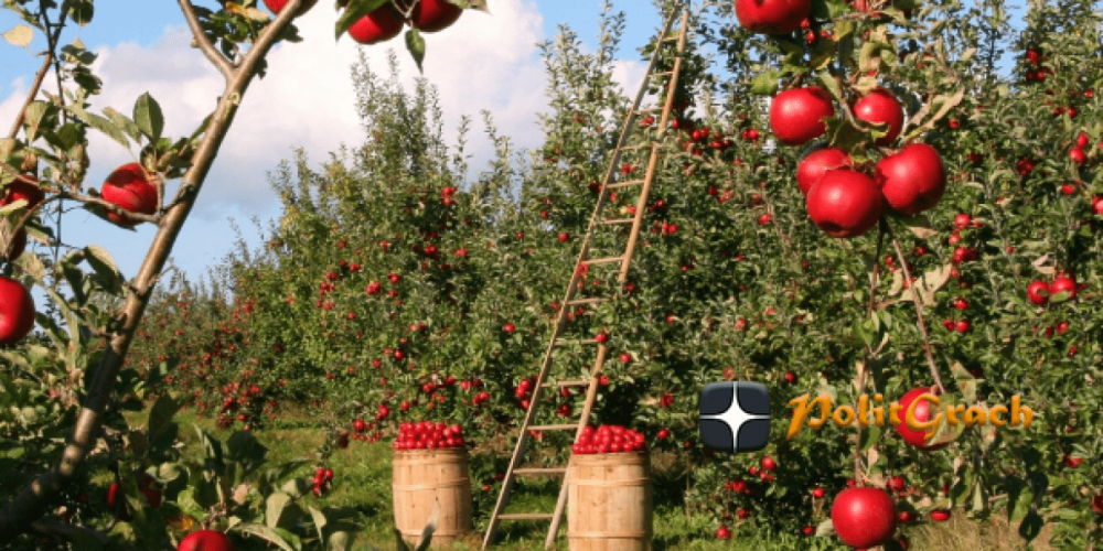 Польша вознамерилась построить стену на границе с Беларусью. Помириться дешевле…