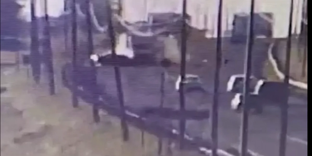 В Нижегородской области погибли шесть человек, включая троих детей, в ДТП — видео