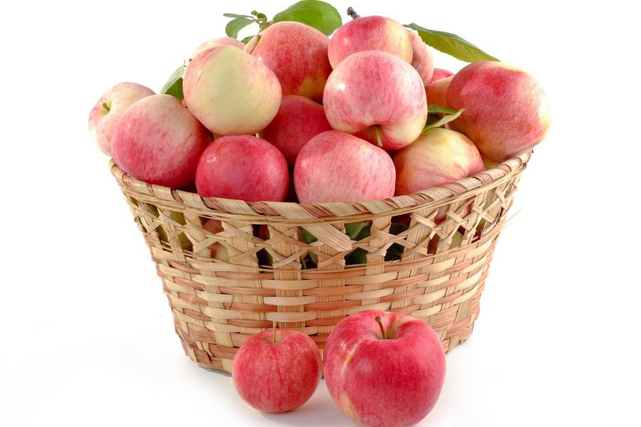 Учёные рассказали, какие продукты помогают избежать слабости в пожилом возрасте