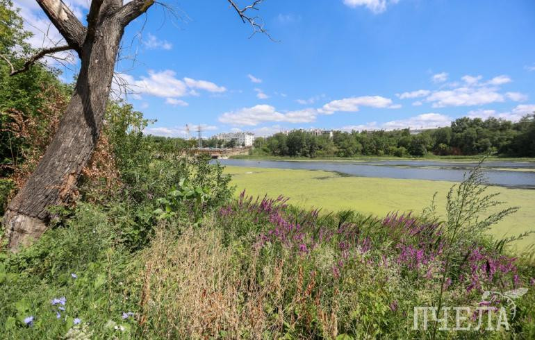 В Челябинске благоустроят набережную реки Миасс от ДК ЧЭМК до Благодатово