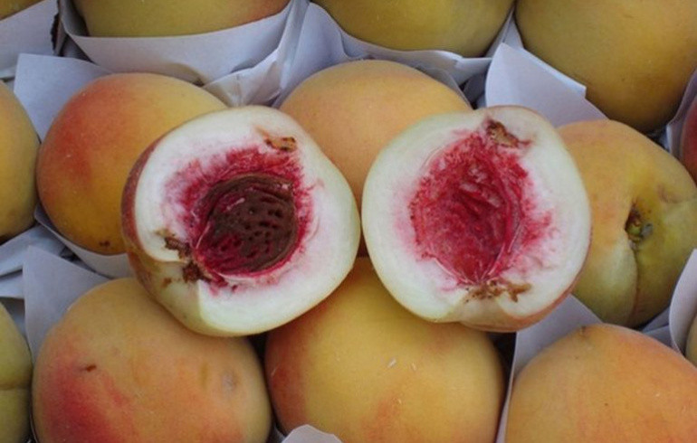 В Челябинскую область завезли около 19 тонн заражённых абрикосов