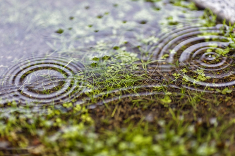 В Японии из-за тайфуна “Мавар” отменили 263 авиарейса, наземный транспорт работает с перебоями