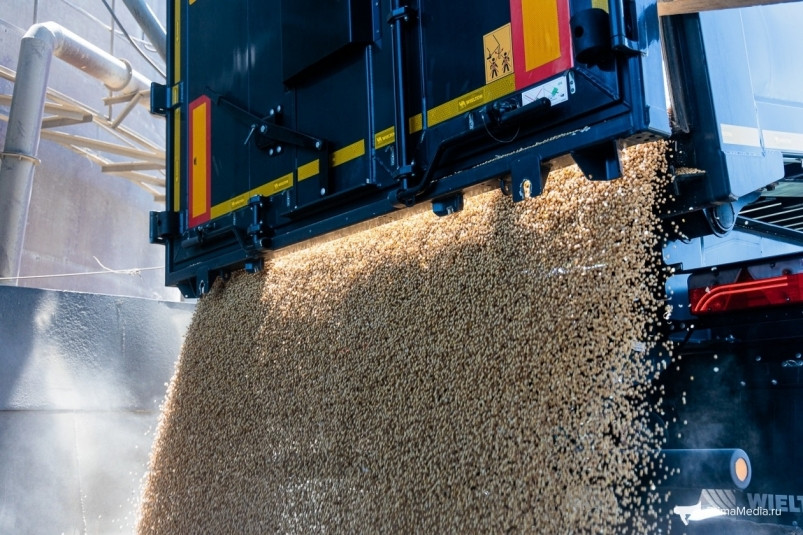 Забайкальский агрохолдинг “Комсомолец” может сменить владельцев