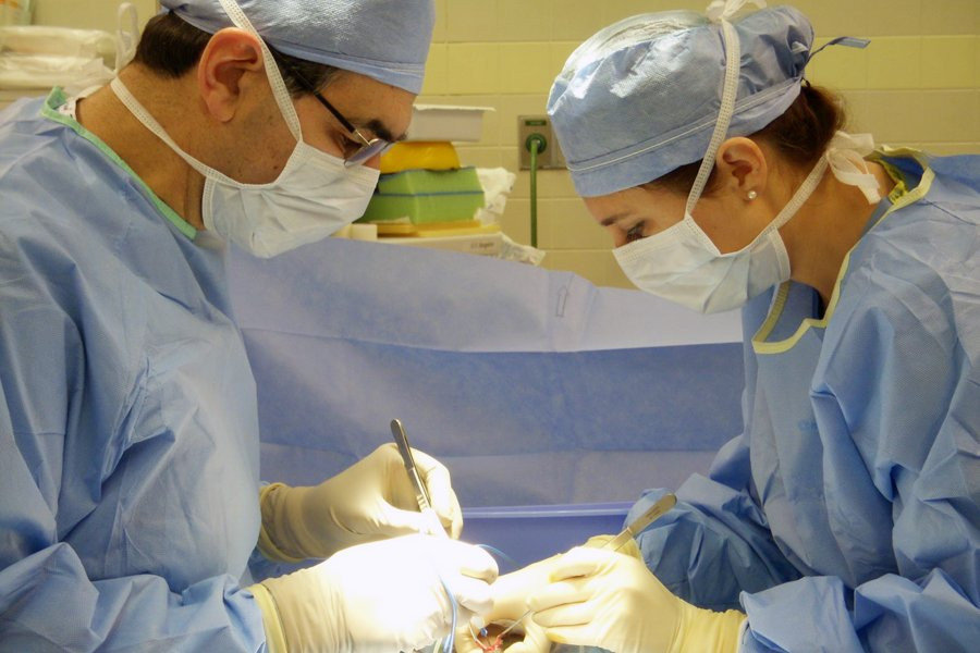 Британские мужчины стали чаще увеличивать пенисы из-за пандемии и порнографии