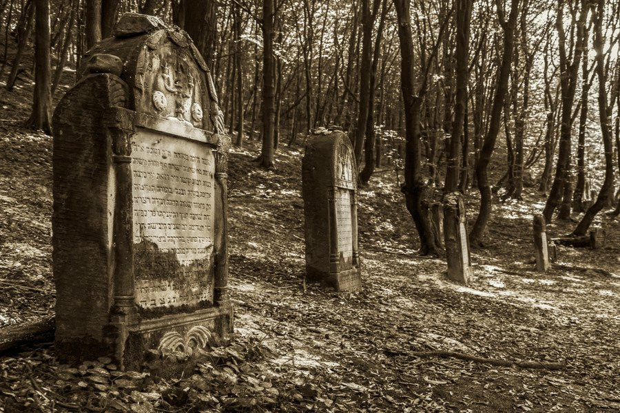 Цинк и медь до 20 раз превышают норму в ряде старых некрополей юга России