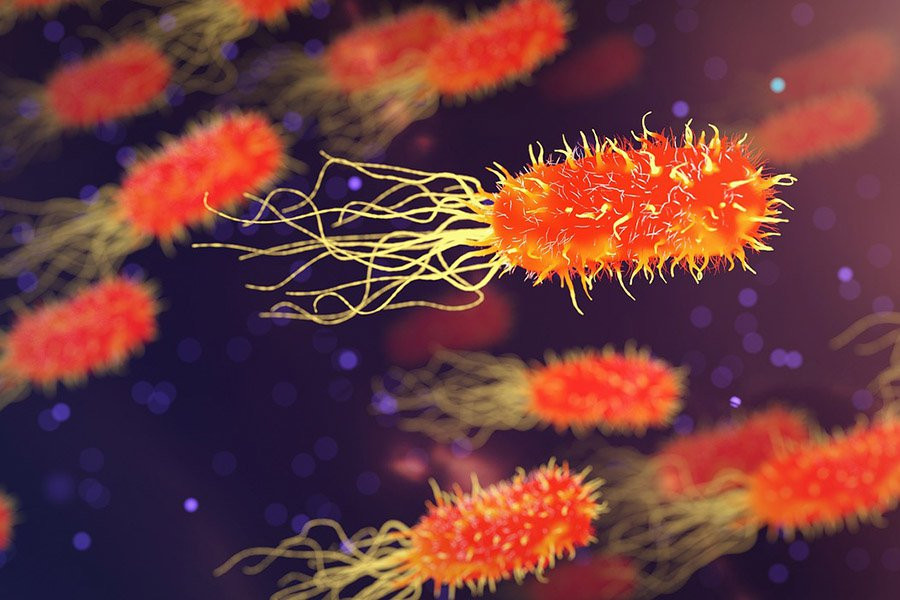 COB: микробы распространяются по миру через атмосферу