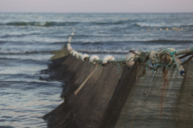 Федеральные игроки скупают рыболовные компании на Дальнем Востоке