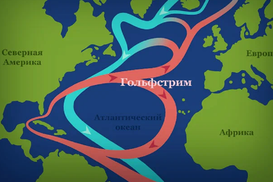 Морское течение гольфстрим. Гольфстрим течение. Норвегия Гольфстрим теплое течение. Течение Гольфстрим на карте. Гольфстрим схема.