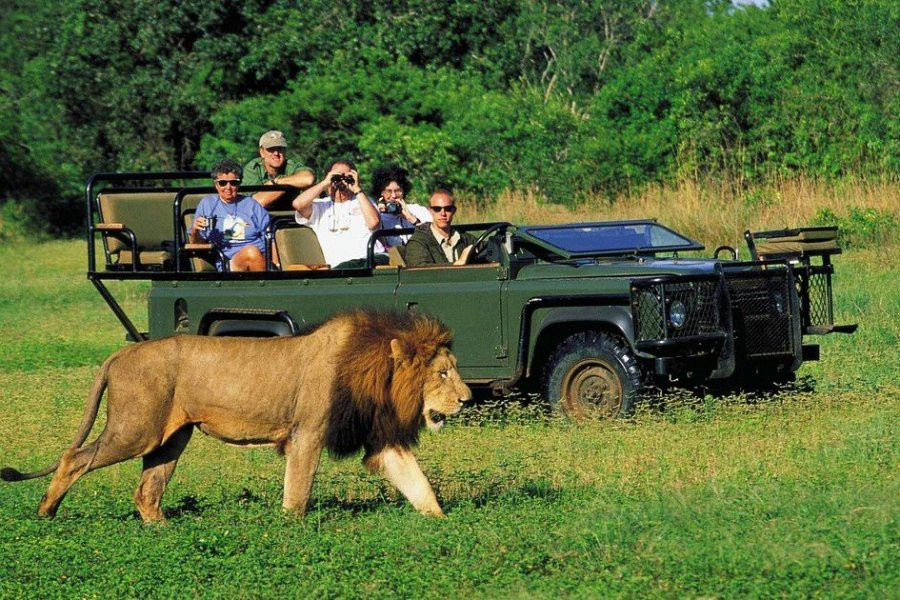 «Известия»: ЮАР вошла в число стран у бизнес-туристов