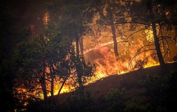 Лесные пожары в Турции: свежая информация для туристов на сегодня, 29 июля 2023 года