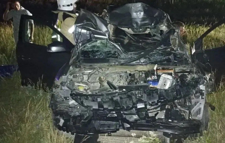 На Южном Урале легковушки врезались в табун лошадей, ранены два человека