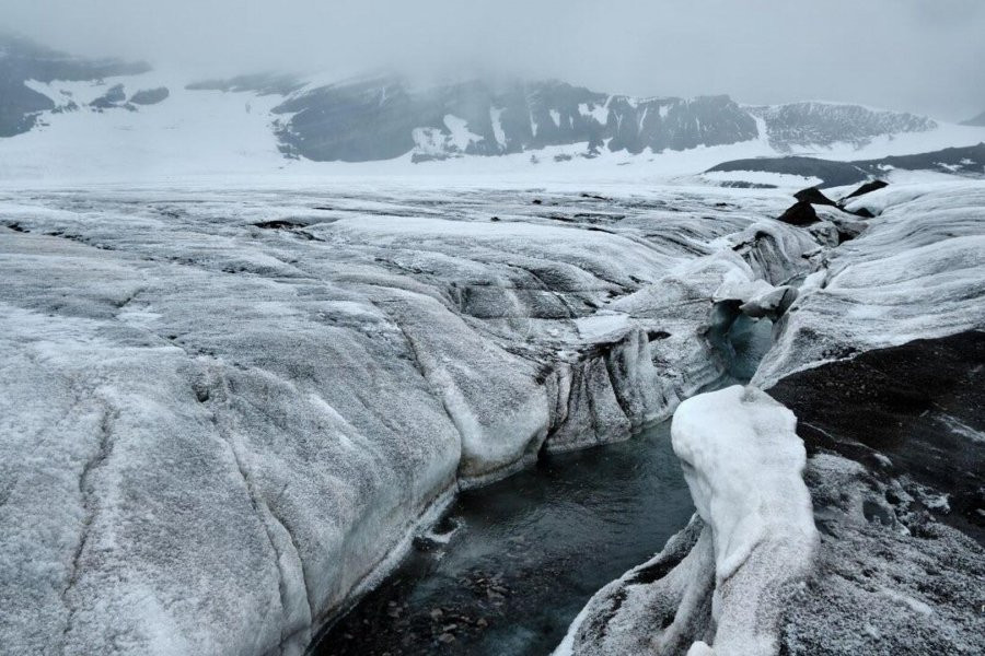 Новая житница России. Ученые раскрыли потенциал Арктики