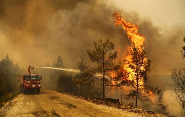 Обстановка в Турции на фоне лесных пожаров: свежая информация от 31 июля для туристов