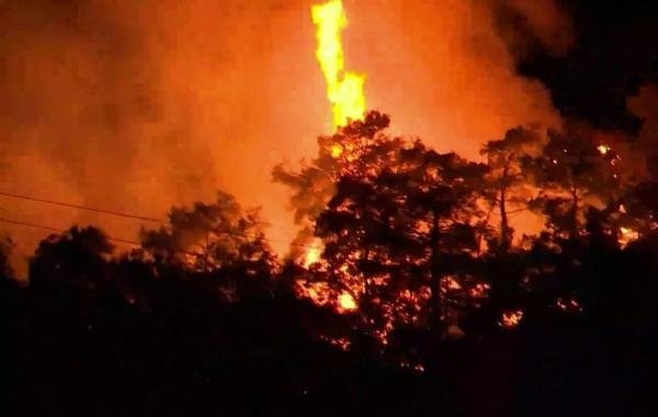 Обстановка в Турции на фоне лесных пожаров: свежие новости на сегодня, 27.07.2023