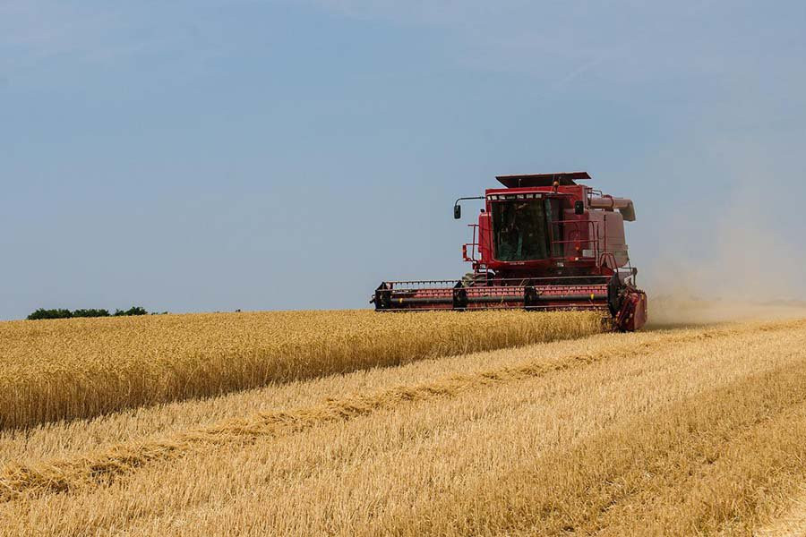 Польша провалила попытку защитить своих фермеров от Украины