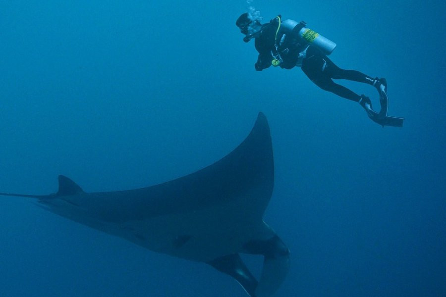 Презентован подводный скутер Seakool D2