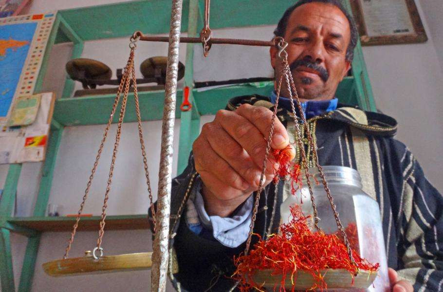 Путь марокканского шафрана: ароматная специя, более ценная, чем золото