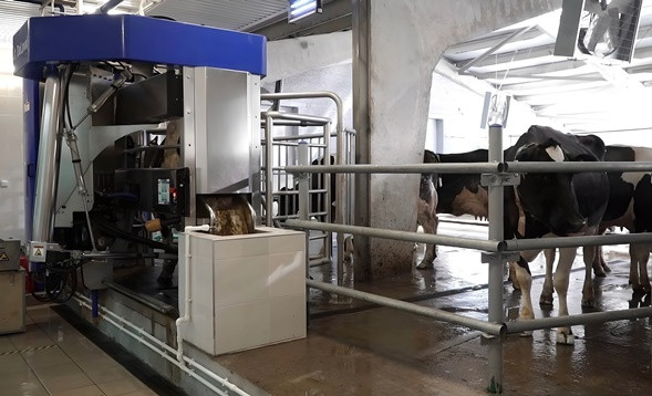 Развитие молочной индустрии Кубани: в учхозе «Краснодарское» открылась первая очередь Центра Молочных компетенцией - Новая общественная газета