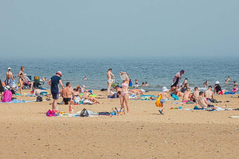 Редкую и дорогую находку вытащили дайверы на Русском острове