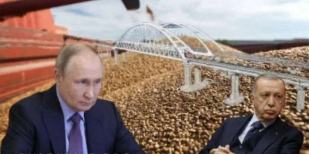 Эрдоган понял, что просчитался: Россия предъявила миру главный козырь