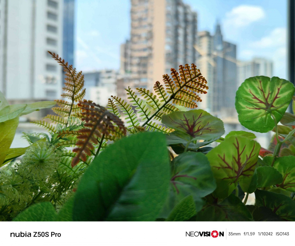 В Сети появились примеры живых фото, сделанных на камеру смартфона Nubia Z50S Pro