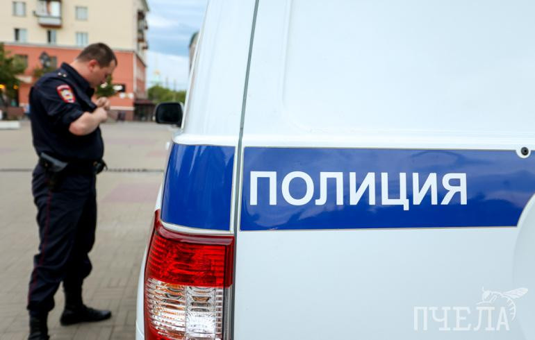 В Челябинске на хозяина питбулей, загрызших на прогулке собаку, завели дело