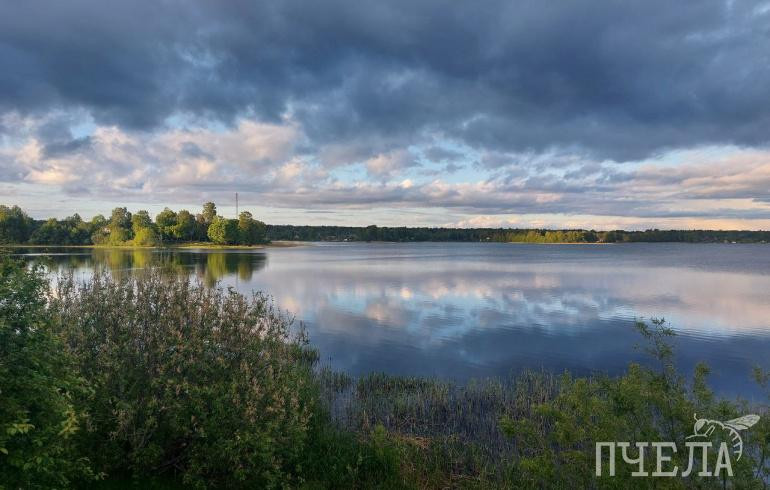 В Челябинской области на фоне дождей температура будет скакать от +11 до +27 градусов