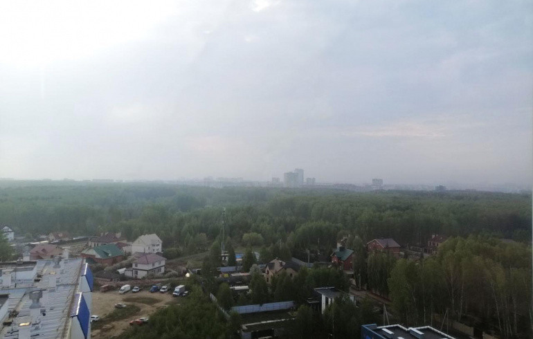 В Челябинскую область из соседних регионов вновь пришла дымка от лесных пожаров