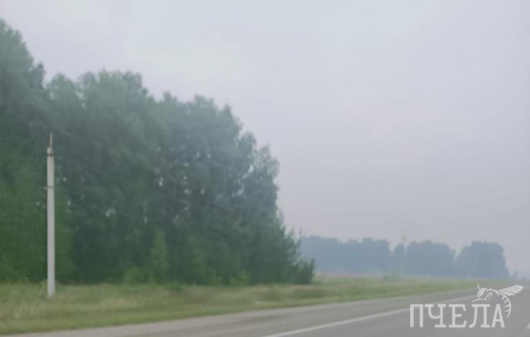 Заводы в Челябинске снизят выбросы до 40% из-за накрывшей город дымки