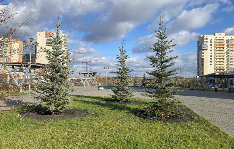 Жителей Челябинска попросили оценить озеленение города