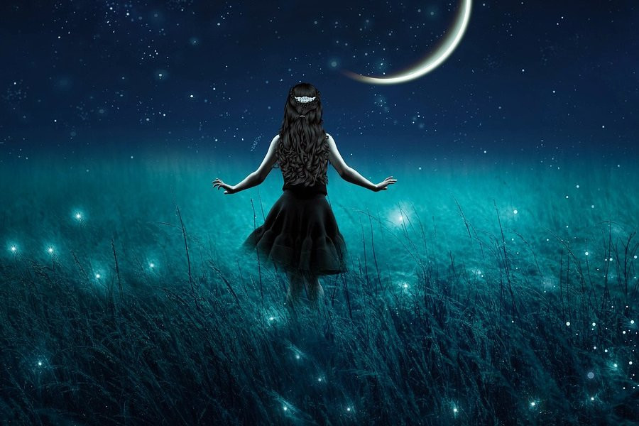 Американцы проводят перепись светлячков