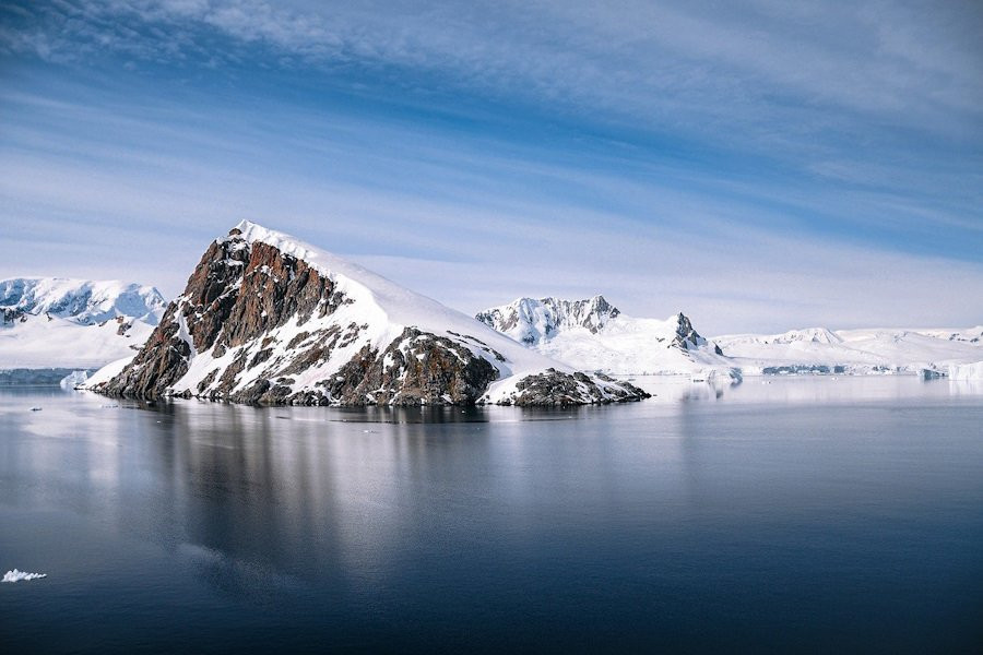 Биологи нашли у Антарктиды похожего на клубнику 20-рукого монстра