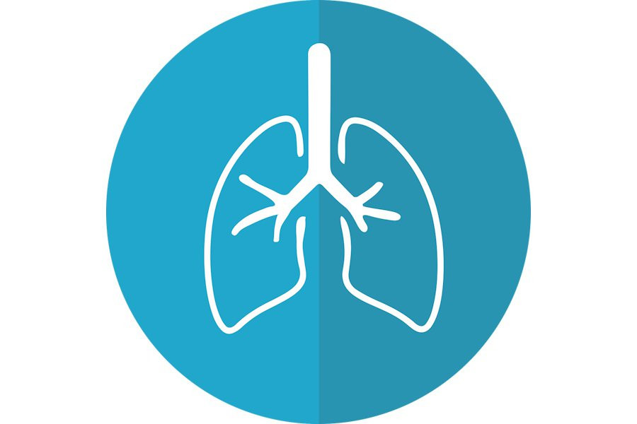 "Газета.ru": в «Сириусе» подтвердили эффективность новой вакцины против туберкулеза