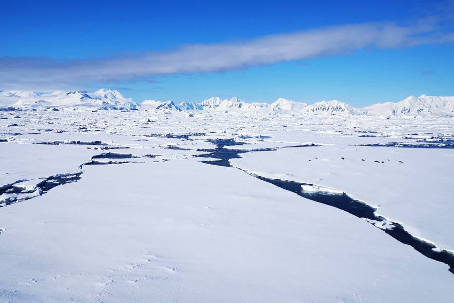 Исследователи проследили арктическую экспедицию 1845 года, закончившуюся смертью и каннибализмом
