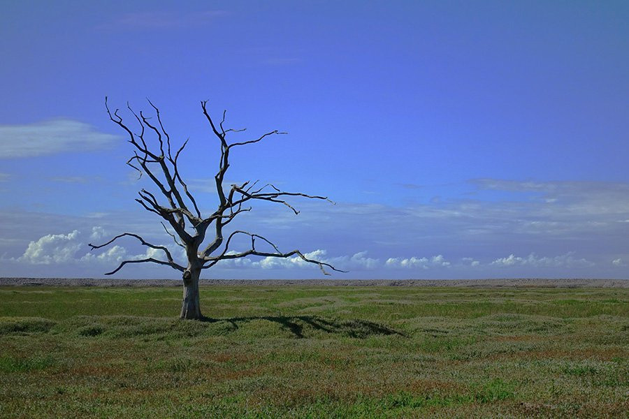Изменение климата может повлиять на иммунную систему