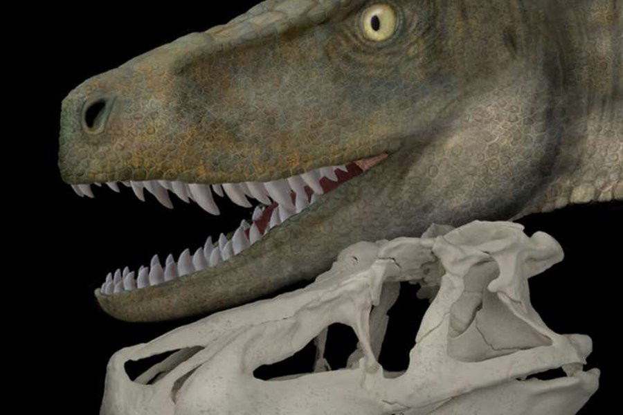 Массивная доюрская рептилия кусалась слабее, чем современные крокодилы