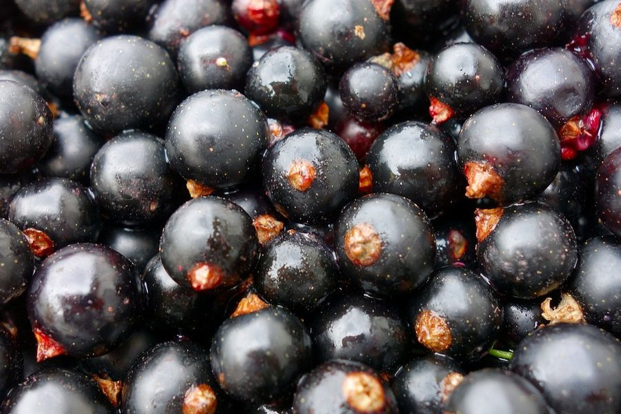 Учеными университета Чичестера раскрыт секрет похудения без спортзала