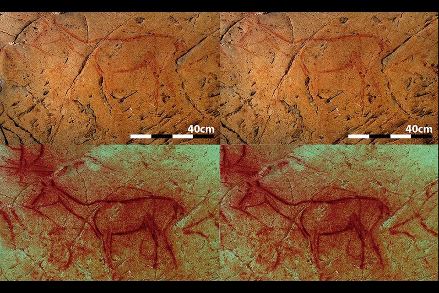 3D-методы помогают обнаружить скрытых животных в наскальных рисунках палеолита