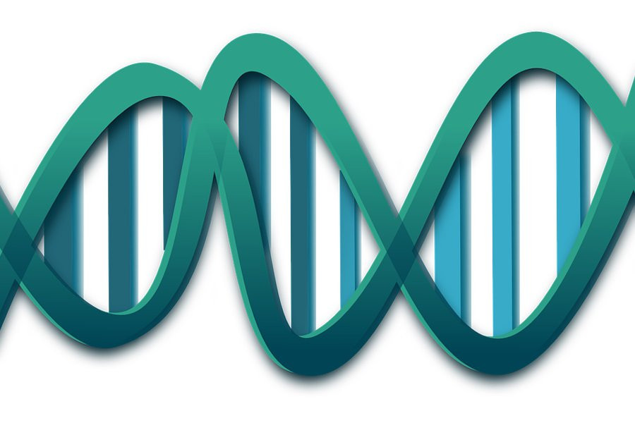 Генетик Резник: oткрытие 110 новых генов хромосомы Y поможет в борьбе с бесплодием и раком