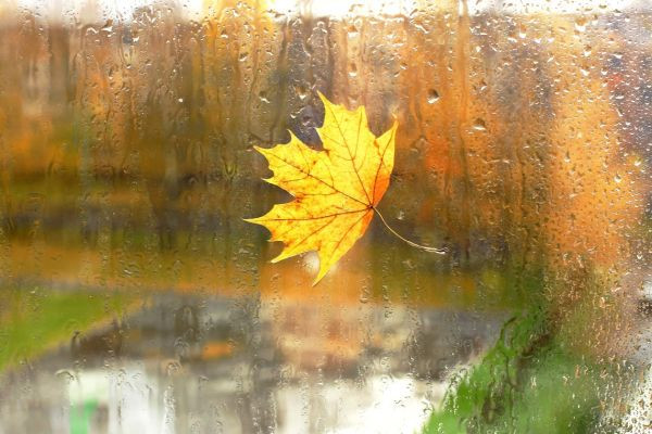 Когда лучше устанавливать пластиковые окна: осенью или ждать лета?