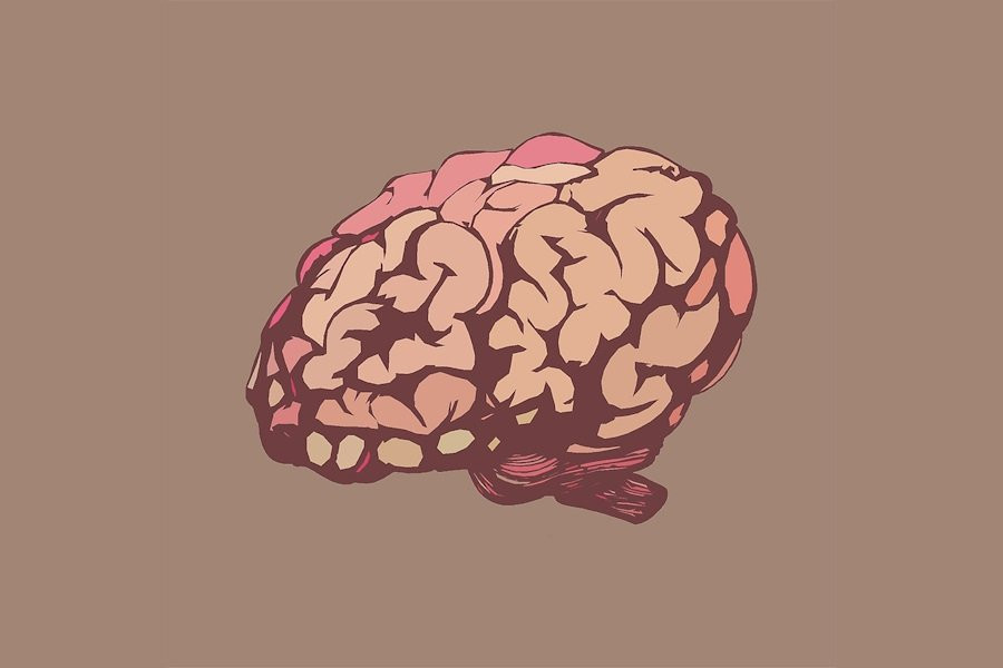 Nature Metabolism: нейроны мозга отвечают за набор и потерю веса