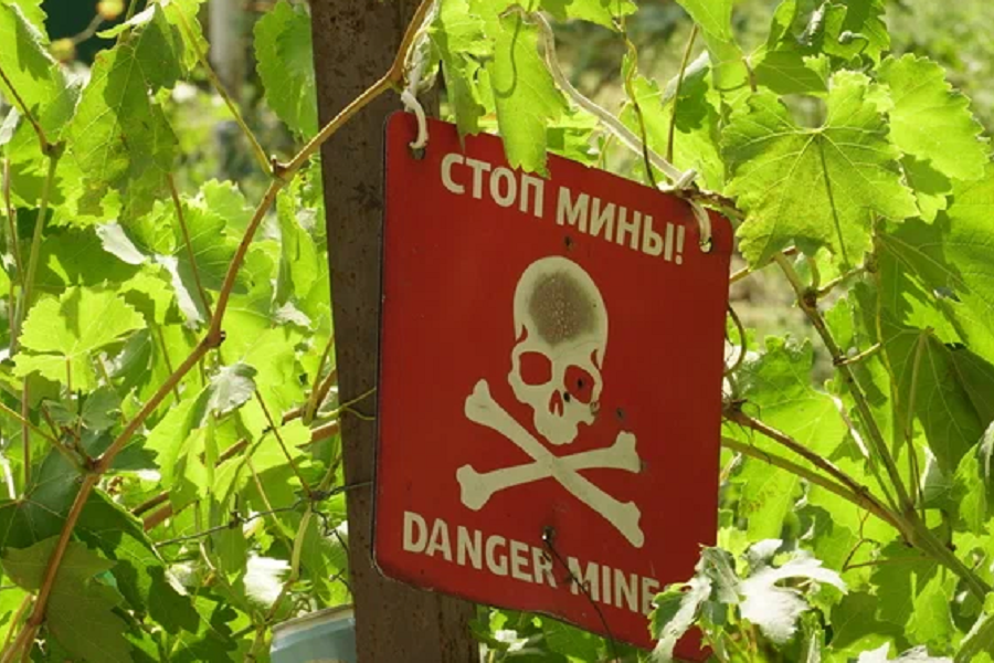 NYT: ВС РФ принялись использовать новую тактику с поджиганием минных полей