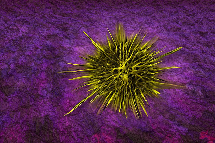 Определенные кишечные микробы могут быть связаны со здоровьем скелета