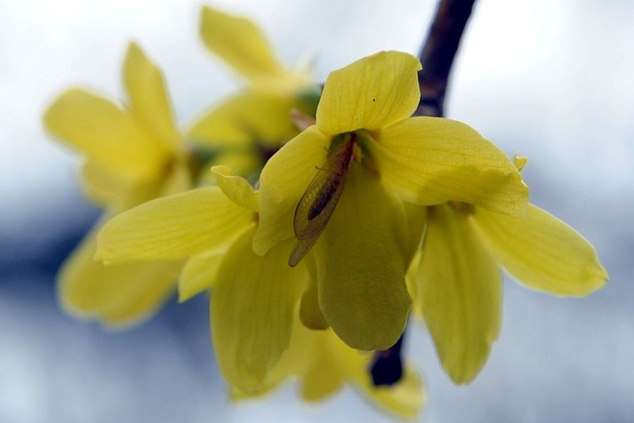 ТАСС: учеными РФ разработаны препараты, противодействующие старению клеток