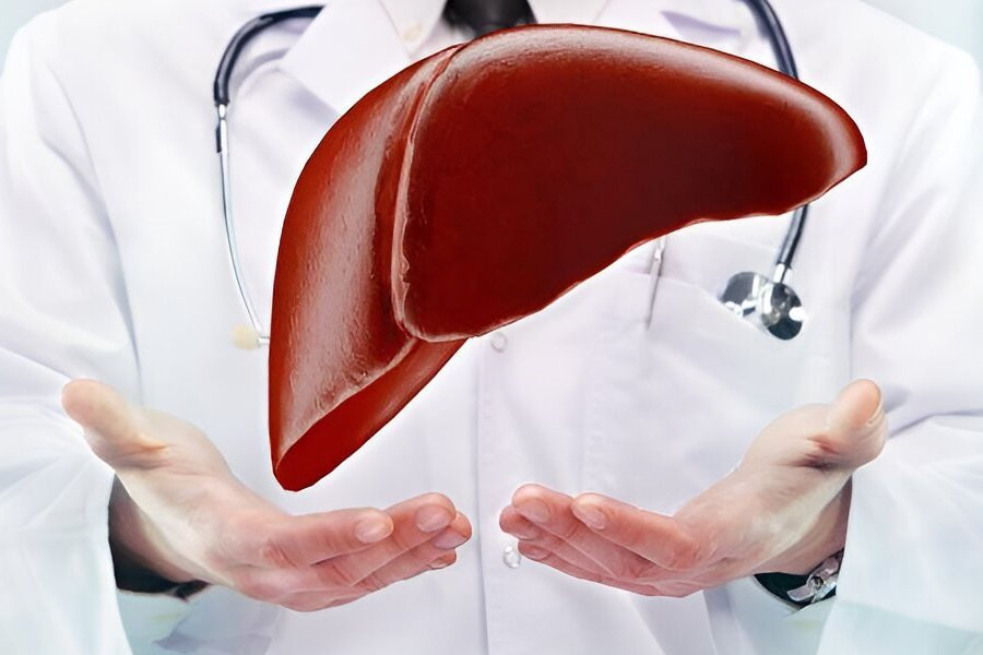 AASLD: учёные нашли способ избавиться ожирения печени