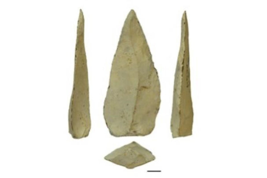 Ашельские рубила оказались древними лопатами для копания земли