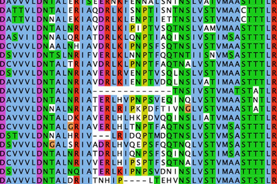 Депрессию и шизофрению и человечество унаследовало от денисовцев