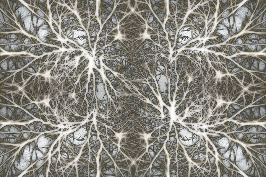 Нанопроводная «мозговая» сеть учится и запоминает «на лету»